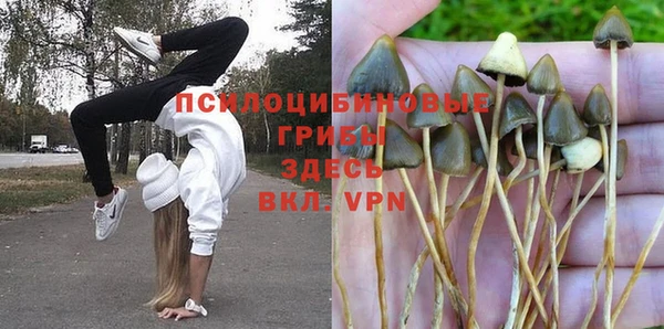 a pvp Алексин