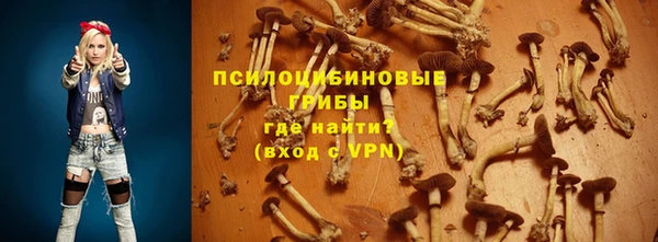 a pvp Алексин